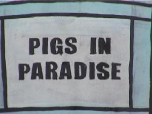 pigsinparadise