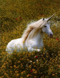 http://www.madcowprod.com/wp-content/uploads/2013/04/unicorn2-231x300.jpg