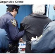 transsnational organized crime